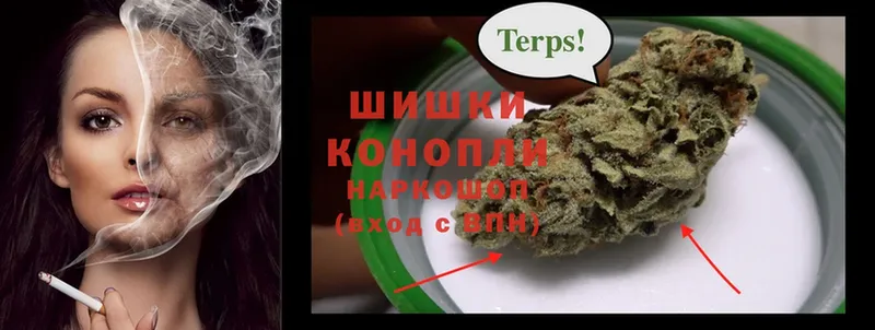 Бошки марихуана White Widow  Бор 